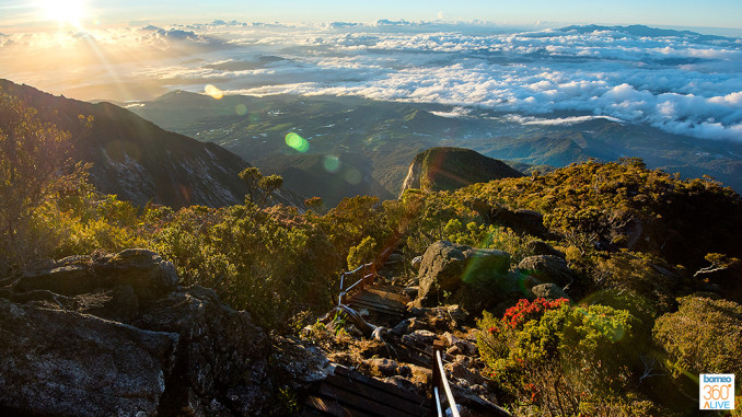 newsummittrail_05